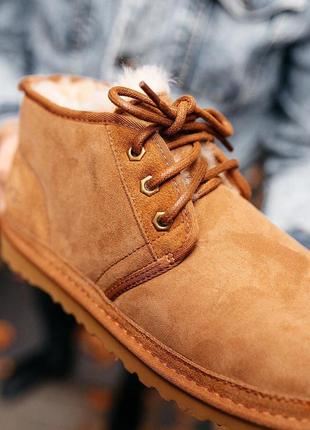 Мужские полки-ботинки neumel ugg suede chestnut.2 фото