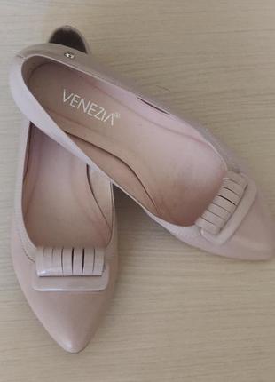 Туфлі venezia