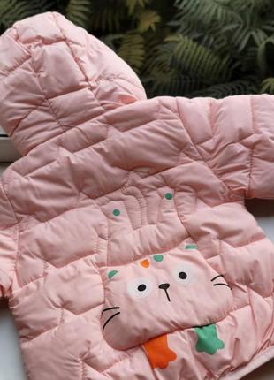 Курточка демисезонная котик розовая 101475 фото