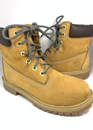 Черевики шкіряні timberland