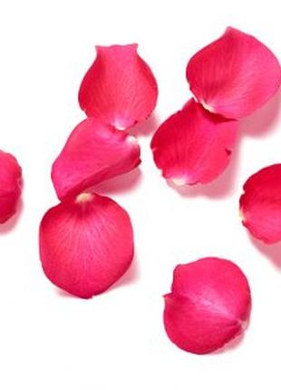 Парфюмированное саше для гардероба и вещей с ароматом индийской розы rituals ayurveda...