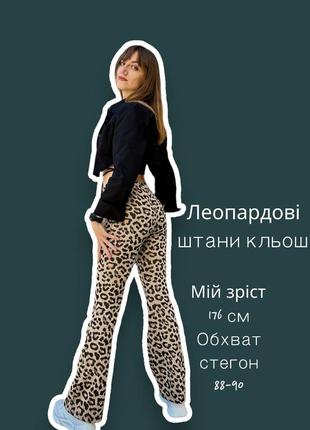 Леопардовые брюки,клеш1 фото