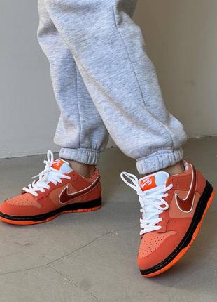 Женские кроссовки nike sb dunk low orange lobster5 фото