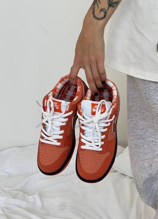 Женские кроссовки nike sb dunk low orange lobster7 фото