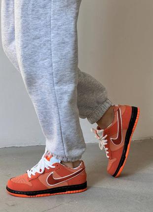 Женские кроссовки nike sb dunk low orange lobster4 фото