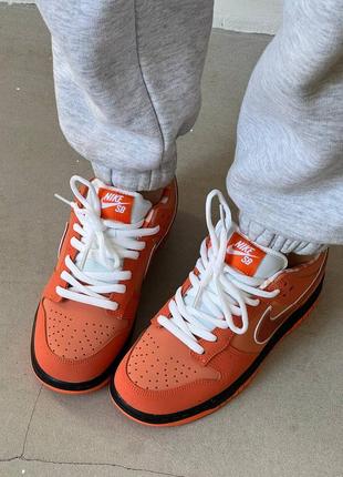 Женские кроссовки nike sb dunk low orange lobster