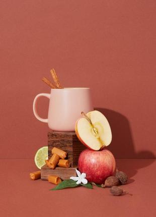 Аромамасло для свечей и диффузоров makesy  buttery caramel & spiced cider / сливочная карамель + пряный сидр,