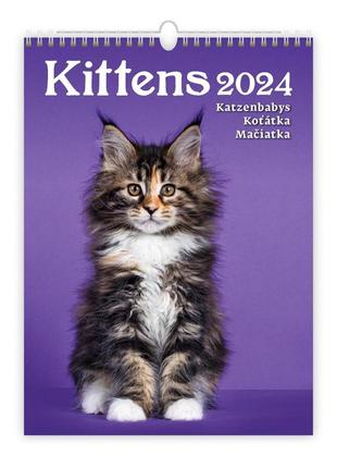 Календарь helma 2024 24 x 33 см kittens (n180-24)