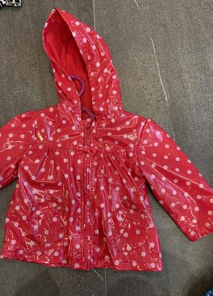 Красивая куртка дождевик для девочки в горошек1 фото