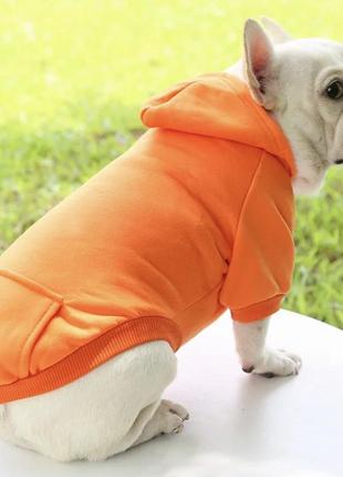 Худи для собак
