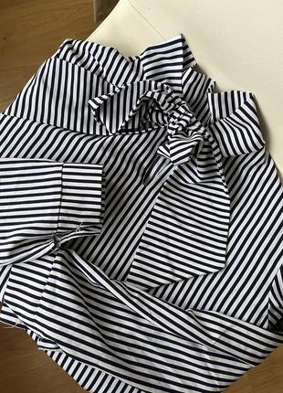 Блузки жіночі