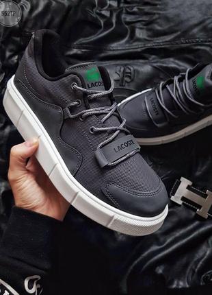 Чоловіче фірмове взуття lacoste grey