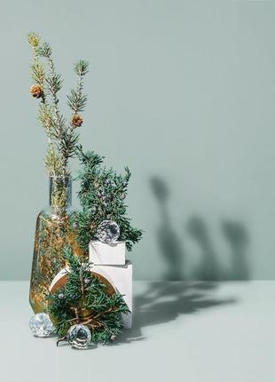 Аромамасло для свечей и диффузоров makesy  juniper fir & balsam spruce / можжевеловая пихта + бальзамическая