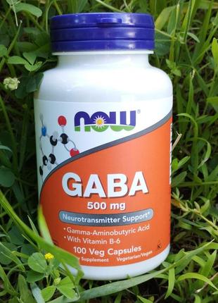 Gaba (гамк) від now foods