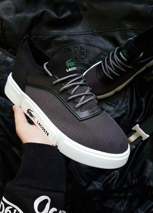 Чоловіче фірмове взуття lacoste grey/white