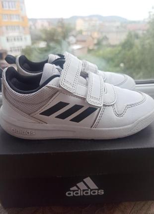 Кроссовки adidas1 фото