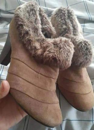 Замшева туфлі черевички з медом
