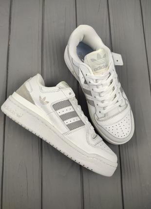 Кроссовки adidas forum low white gray.