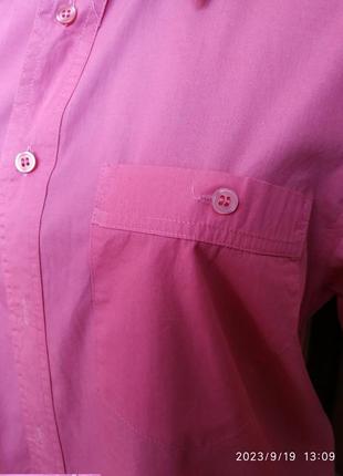 Женская блузка от бренда clique, p.l-xl4 фото