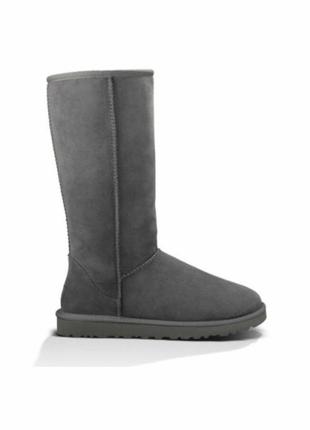 Сапоги ugg , p.40 , оригинал3 фото