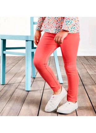 Дитячі однотонні трегінси штани lupilu на дівчинку 684593 фото