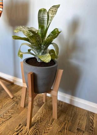 Подставка для вазонов wooddecor косоногая бук 260x490x400мм покрытие лак