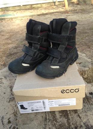 Зимние ботинки ecco snowboader gore-tex