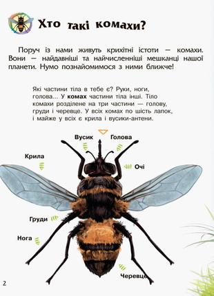 Дитяча енциклопедія про комах 614014 для дошкільнят7 фото