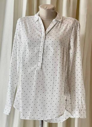 Шикарная белая блуза рубашка в горошек