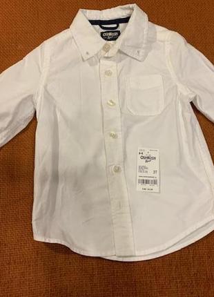 Oshkosh carter's сорочка рубашка 100% бавовна 3-5 років