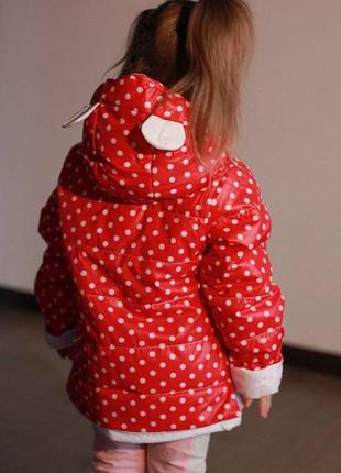 Курточка красная в горошек с ушками3 фото