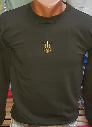 Реглан утеплений на хлопчика з гербом україни на зріст від 128 до 152