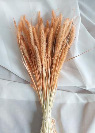 Сушеница декор трава композиции фотозона