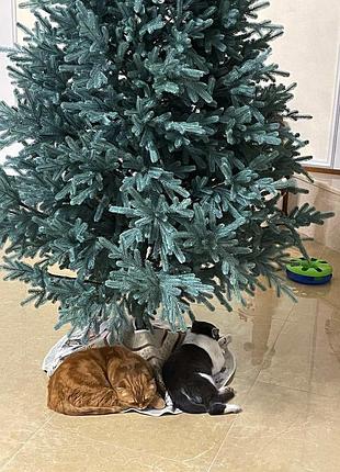 Ёлка литая венская голубая 230 см искусственная, от производителя siga group,...