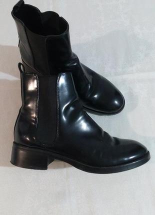 Челсі  zara