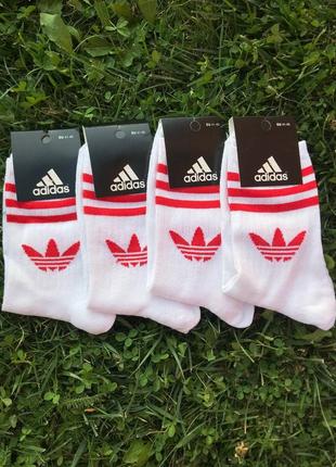 Високі носки adidas білі