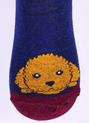 Носки детские собачка