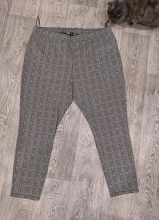 Женские плотные лосины.