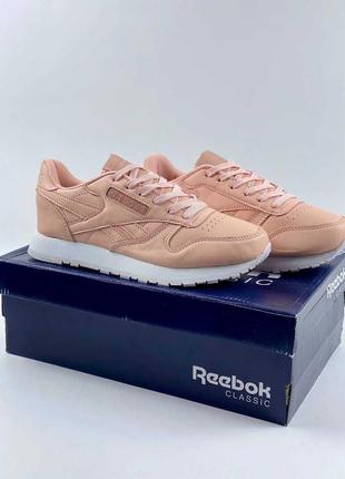 Кроссовки reebok classic женские рибок классик кожа жіночі кросівки рібок класік шкіра reebok legacy шкіряні adidas samba nike air force 1 женские2 фото