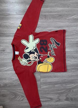 Фірмовий реглан, лонгслив, що світиться кофта