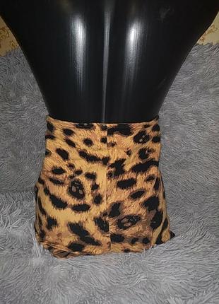 Крутые леопардовые шорты с высокой посадкой iron fist6 фото
