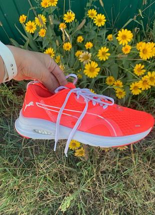 Кросівки puma hibrid