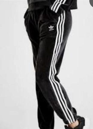Велюровые теплые темно-серые спортивные штаны джоггеры adidas