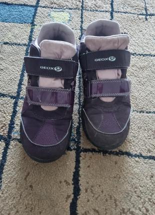 Черевики geox