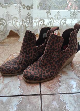 Ботинки леопардовые toms1 фото