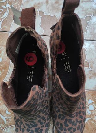 Ботинки леопардовые toms3 фото
