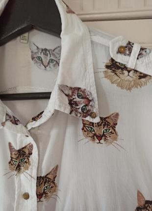 Рубашка с котятами из хлопка