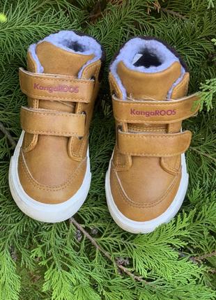 Новые ботиночки от kangeroos2 фото
