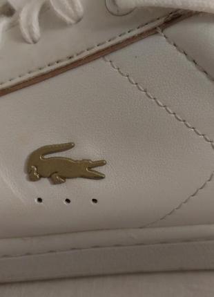 Lacoste кроссовки женские carnaby evo6 фото