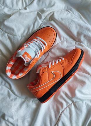 Nike sb dunk low orange lobster8 фото